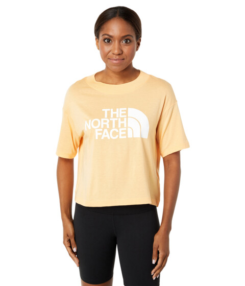 Imbracaminte Femei The North Face Half Dome Cropped Short Sleeve Tee Apricot Ice