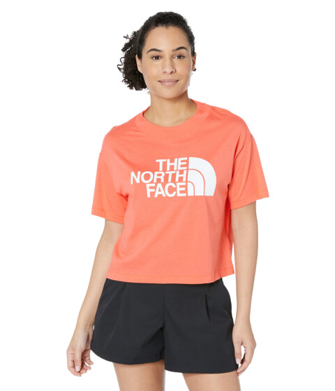 Imbracaminte Femei The North Face Half Dome Cropped Short Sleeve Tee Brilliant Coral