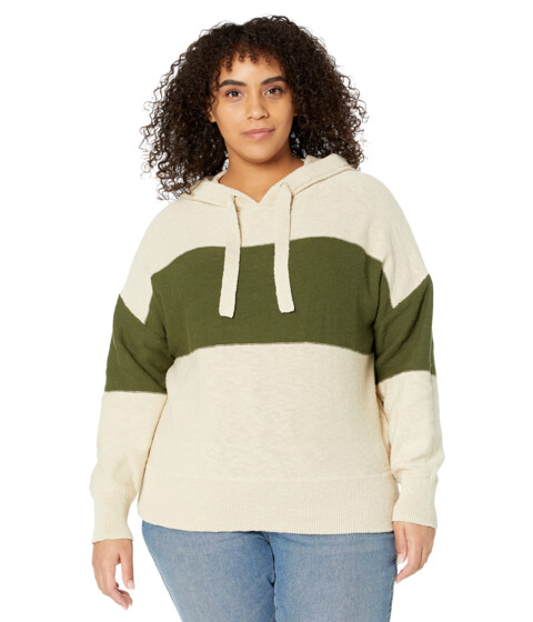 Imbracaminte Femei Madewell Plus Clairview Hoodie Sweater in Colorblock Heather Artichoke