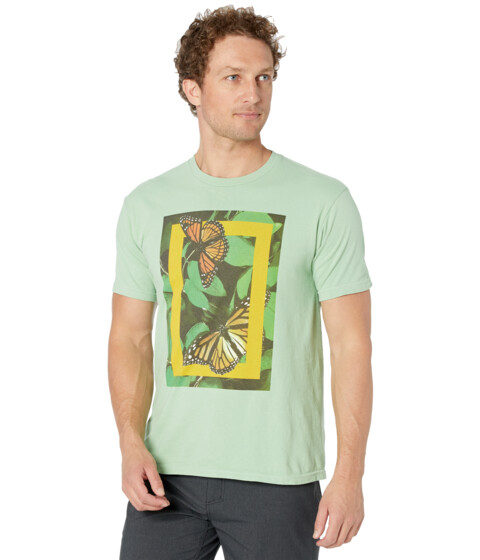 Imbracaminte Femei Parks Project National Geographic X Parks Project Photo Real Butterflies Tee Sea Green
