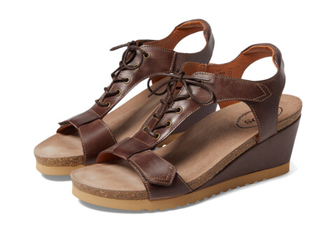 Incaltaminte Femei Taos Footwear Tie Wish Espresso